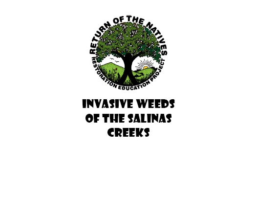 California Salinas Creeks Invasive Weeds Identification Manual
