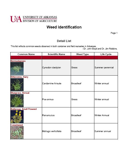 Common Weeds in Container and Field Nurseries in Arkansas
