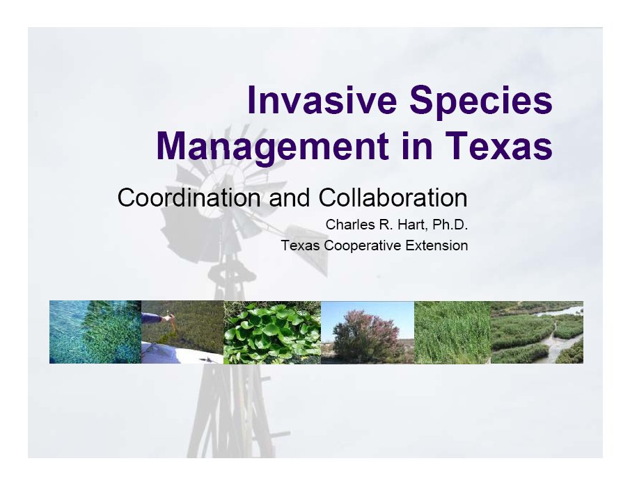 Invasive Weed Species Management in Texas