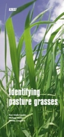 Identifying Midwestern Pasture Grasses A3637