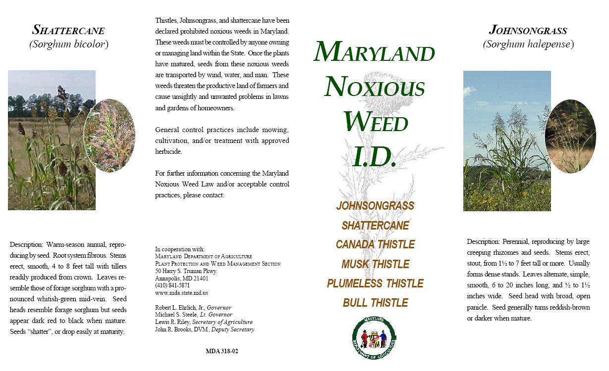 Maryland Noxious Weed Identification