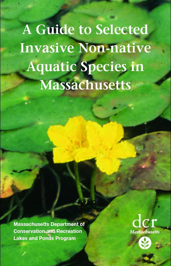 Guide to Invasive Non-native Aquatic Species in Massachusetts