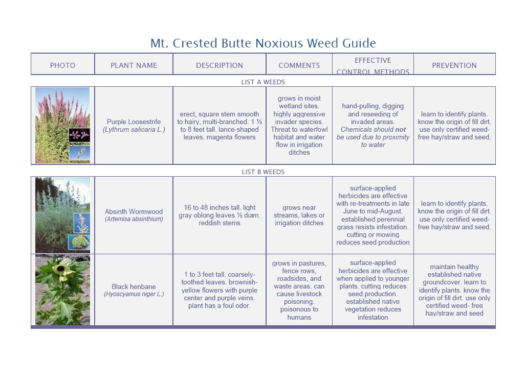 Mt. Crested Butte Colorado Noxious Weed Identification Guide