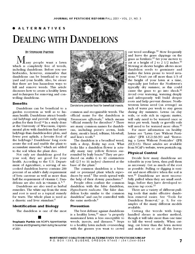 Dealing With Dandelions - Safe Alternatives To Herbicides