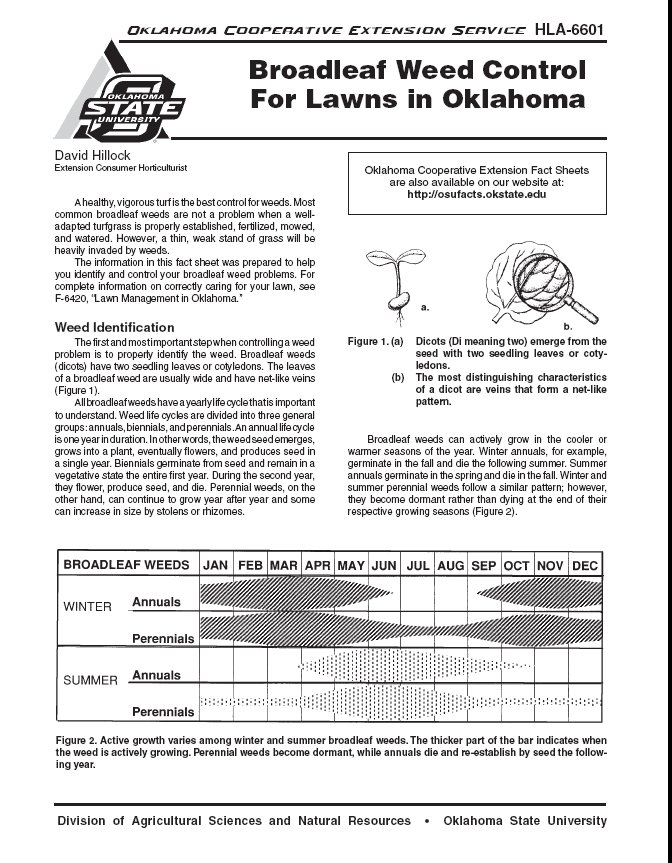 Broadleaf Weed Control Identification For Lawns in Oklahoma