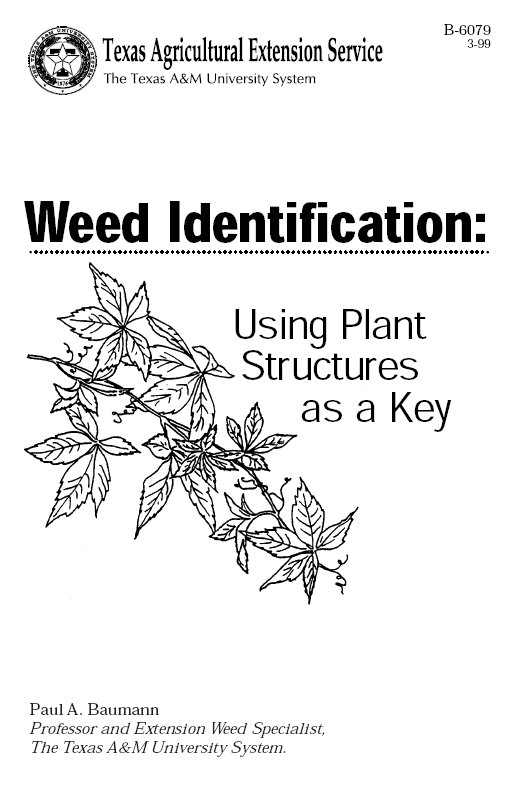 Weed Identification: Using Plant Structures as a Key TAMU