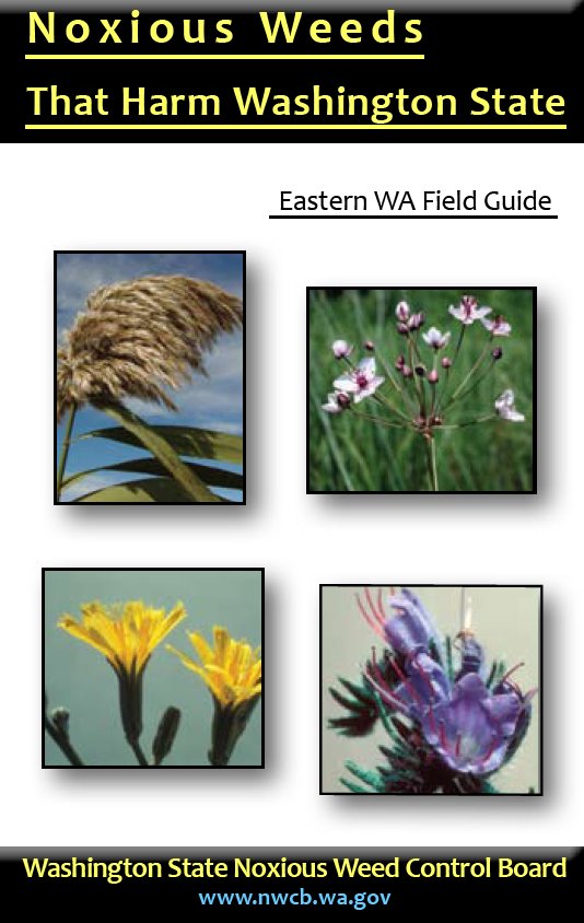 Noxious Weeds that Harm Washington State Eastern WA Field Guide
