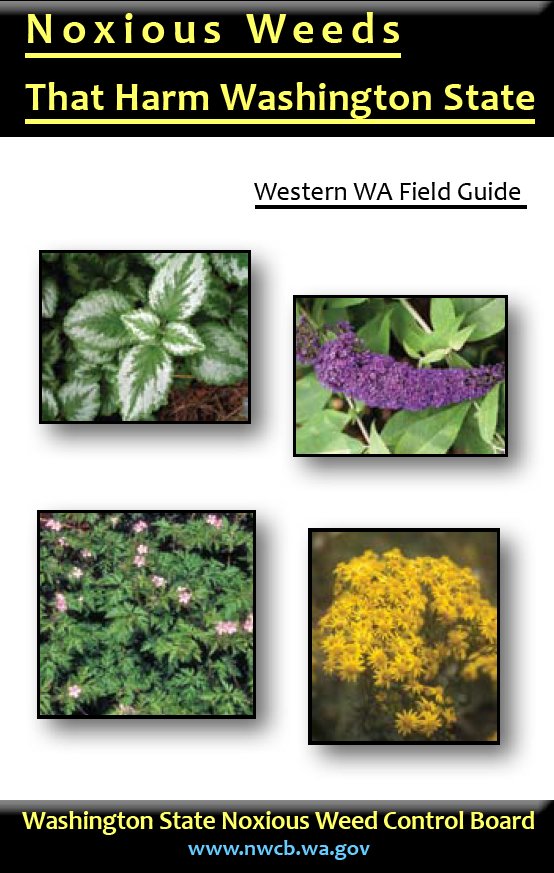 Noxious Weeds that Harm Washington State Western WA Field Guide