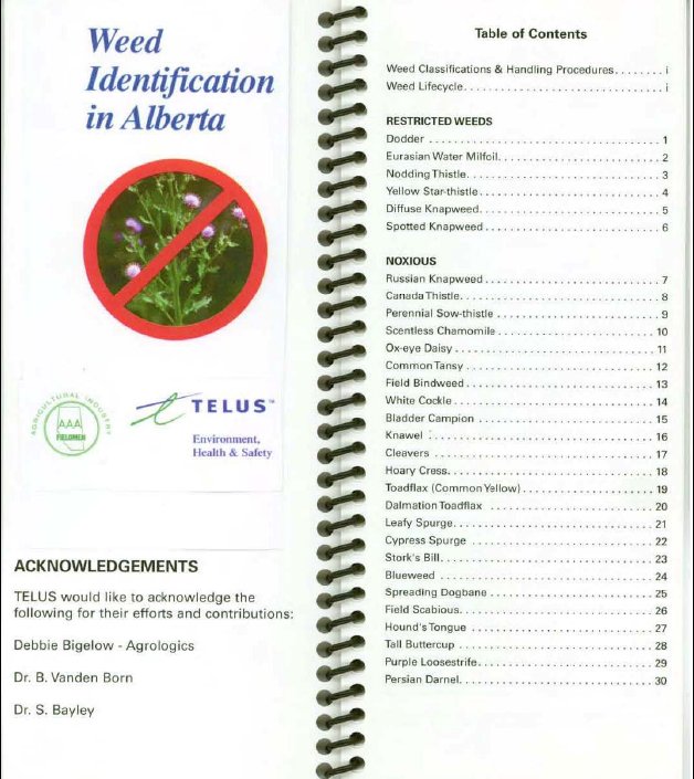 Weed Identification in Alberta, Canada