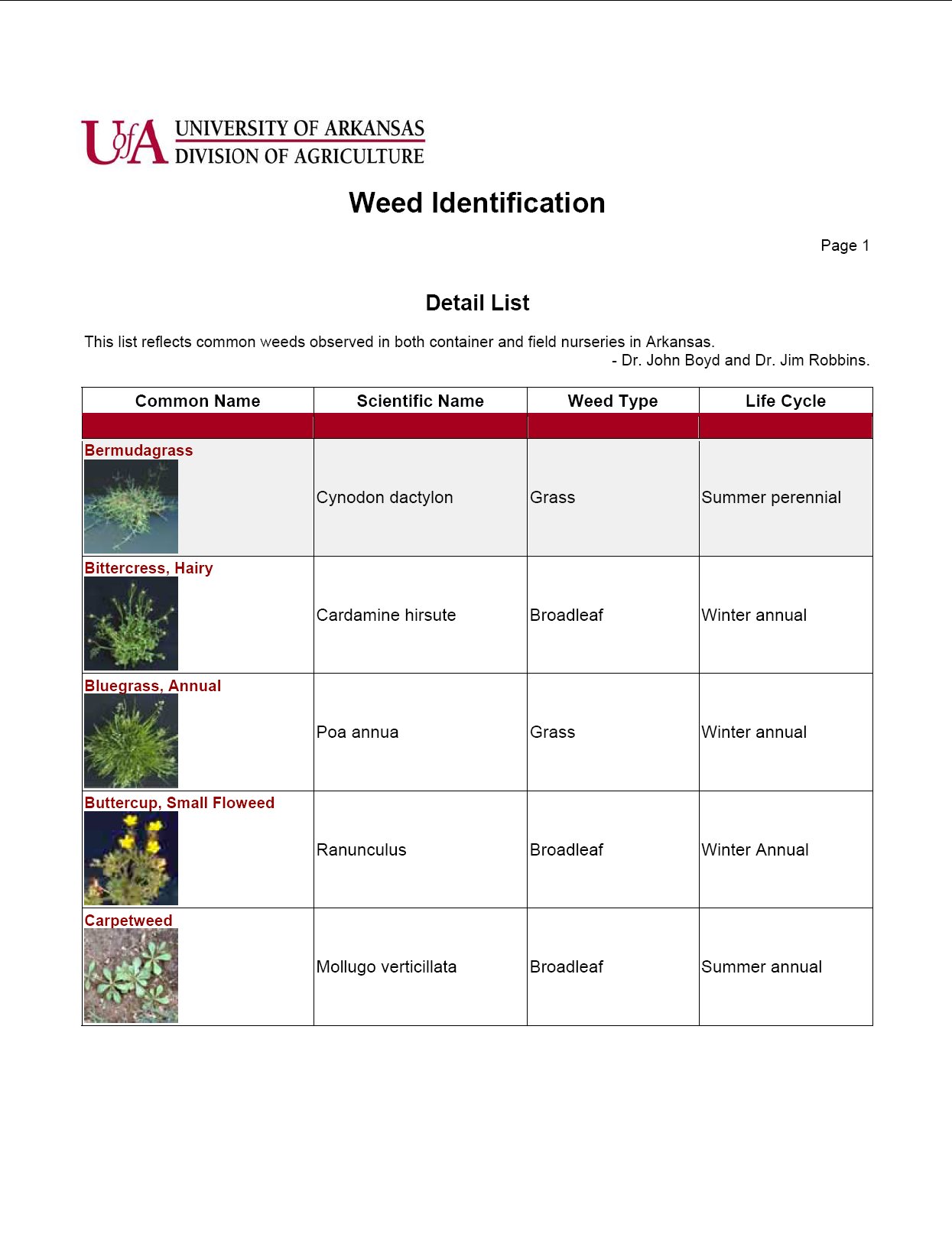 Weed Identification List - Horticulture - Nursery Production - Click Image to Close