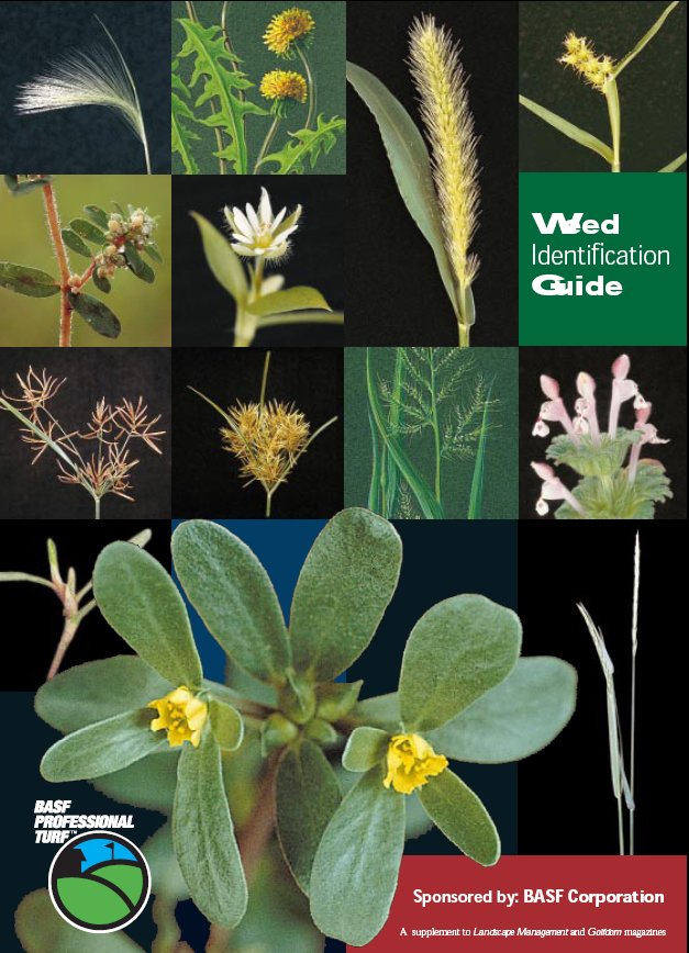 Weed Identification Guide BASF