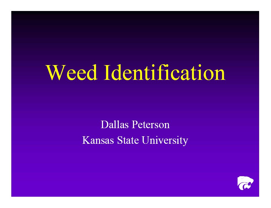 Weed Identification Kansas State University