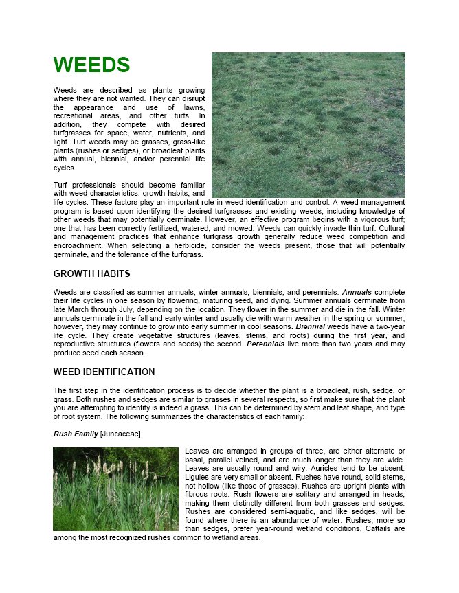 Weeds Overview Identification North Carolina
