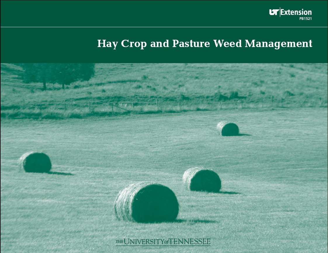 Hay Crop and Pasture Weed Management Tennessee
