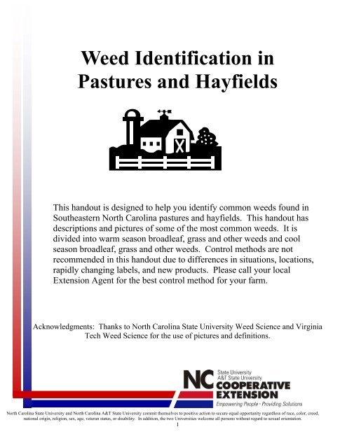 Weed Identification in Pastures and Hayfields - Click Image to Close